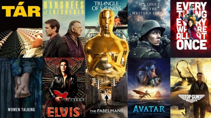 Movies llc