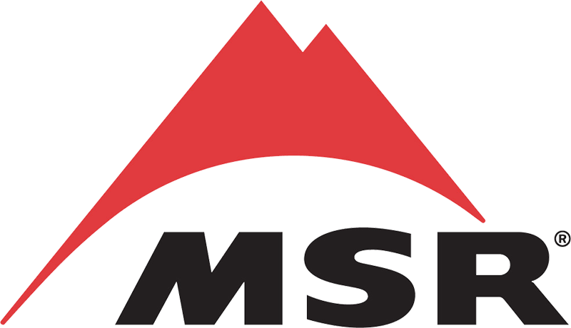 Msr technology group