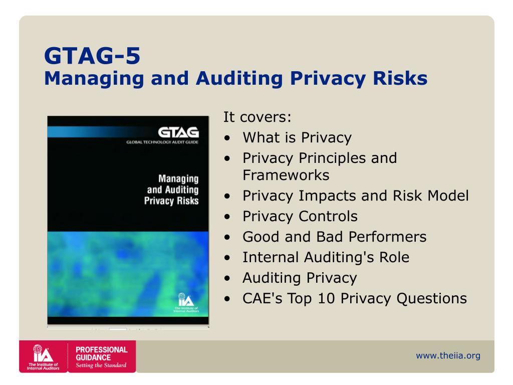 Global technology audit guide