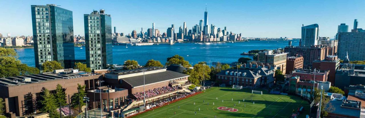 Stevens institute of technology job