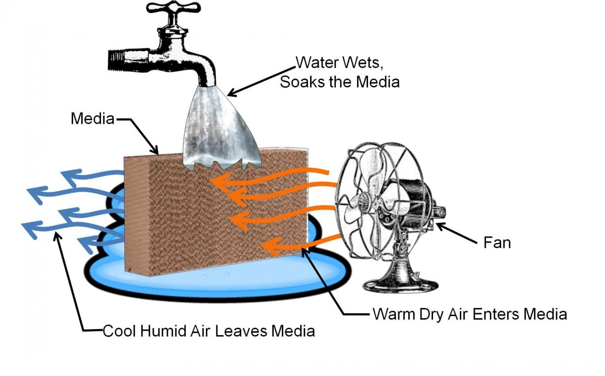 Climate technologies evaporative cooler