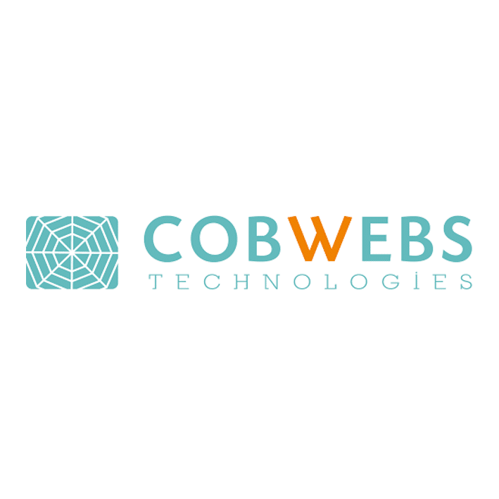 Cobwebs technologies