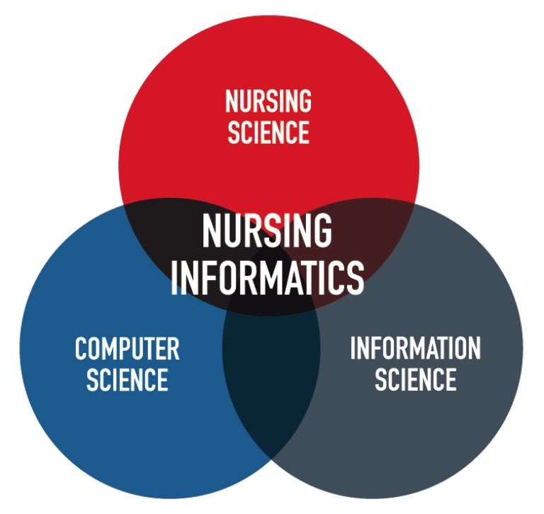 Nursing informatics and technology information management systems