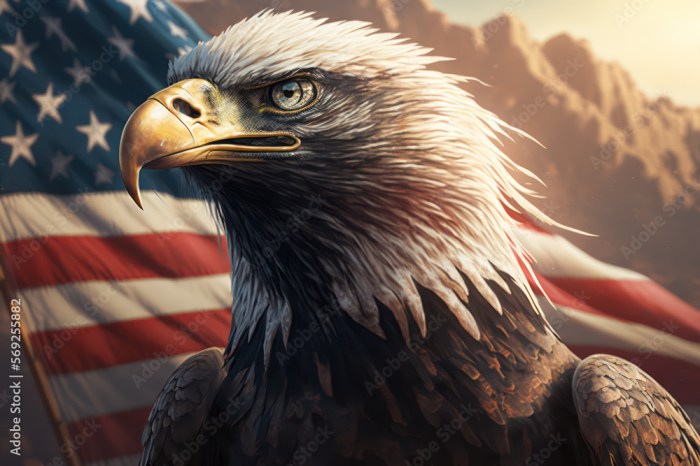 Patriotic american bald eagle in fron of USA flag, symbol of United ...