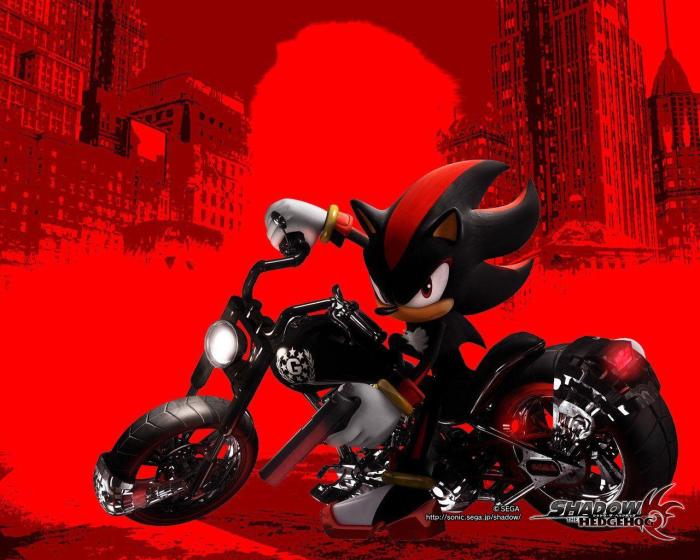 Shadow the Hedgehog Wallpapers - Top Free Shadow the Hedgehog ... Shadow the Hedgehog Wallpapers - Top Free Shadow the Hedgehog ...