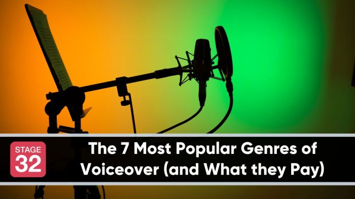 4 Reasons To Have Audio Description On Your Film - Stage 32 4 Reasons To Have Audio Description On Your Film - Stage 32