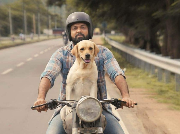 10 Movies That Gave Viewers The Best Cinematic Experience Both On Big ...