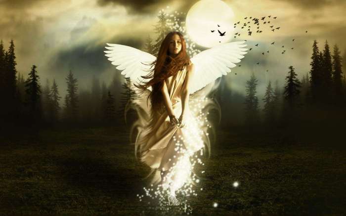 HD Angel Wallpaper Free Download HD Angel Wallpaper Free Download