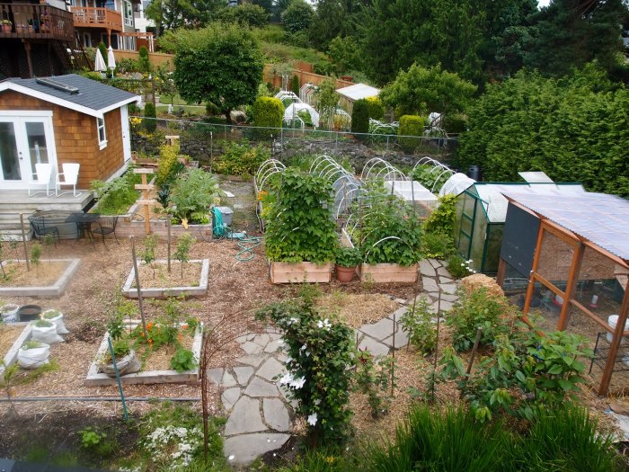 The homestead movie streaming