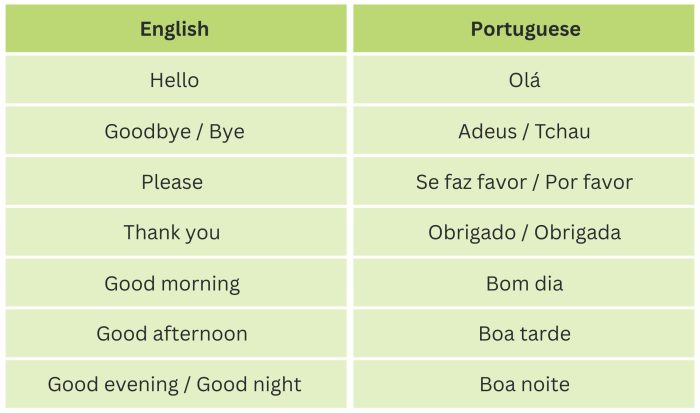 Why learning Portuguese helps you thrive as an expat | RHJ Group Why learning Portuguese helps you thrive as an expat | RHJ Group
