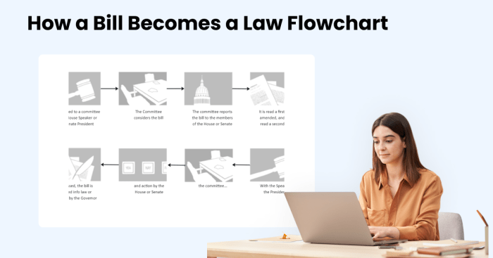 Bill murray movies new movie