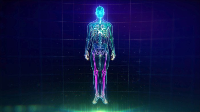 Scientific Name of Human Being | GeeksforGeeks