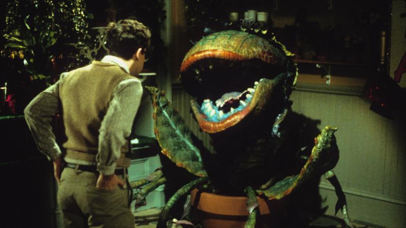 Watch Little Shop of Horrors online - BFI Player