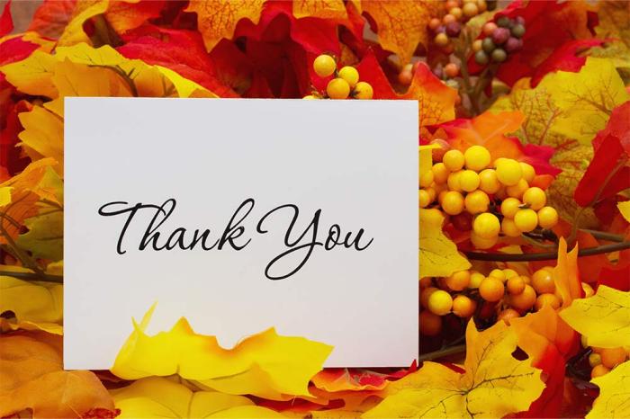 Thank you dr fauci movie stream