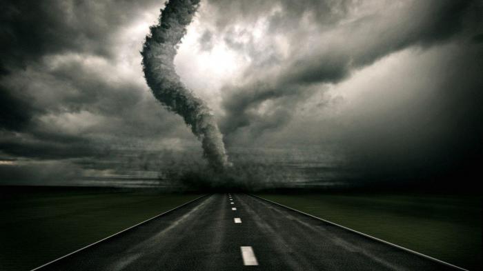 Dangerous animal movie